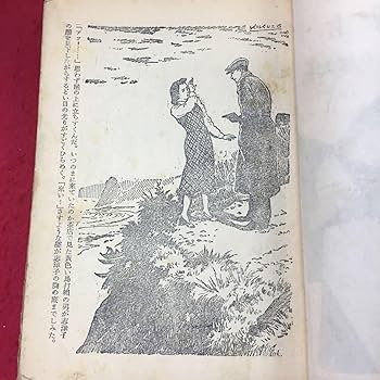 【古書・昭和37年初版】 盗まれた秘密書　ポー推理小説文庫（2） 山中峯太郎編著 Amazon.co.jp: h-5143 黒星博士 著者 山中峯太郎 昭和25年1月5日